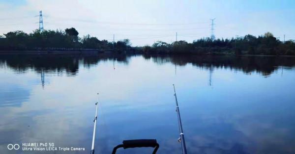秋風起，胖頭肥，入冬前釣的最後兩波胖頭魚