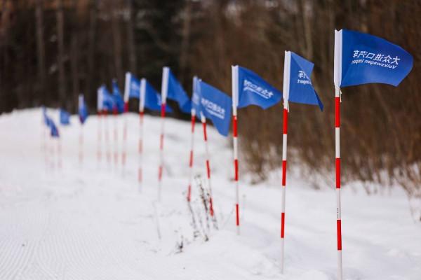 蘋果變磚也要在東北的雪地裡搖擺（多圖預警）