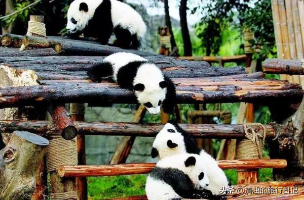 成都旅遊必去的11處打卡景點,人性化介紹 成都旅遊必去的11處打卡景點,人性化介紹