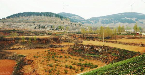 什麼？村委會也可以收回村民的土地使用權？