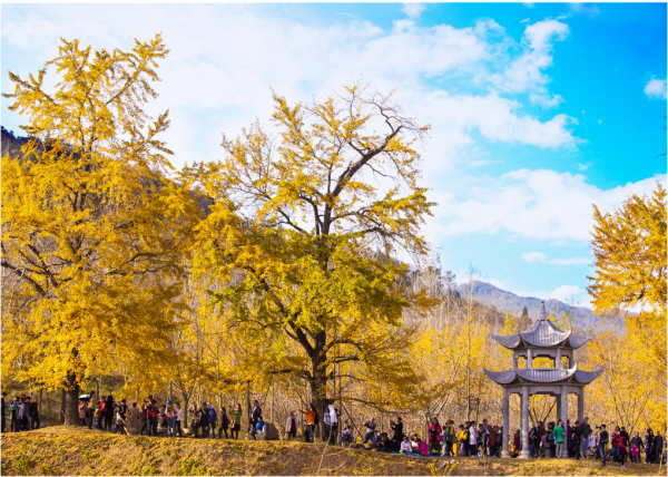 11月，看湖北，疊翠流金！