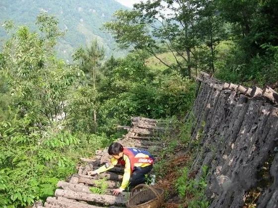 太陽啊 我終於把你背到了崑崙山之 秦地續篇