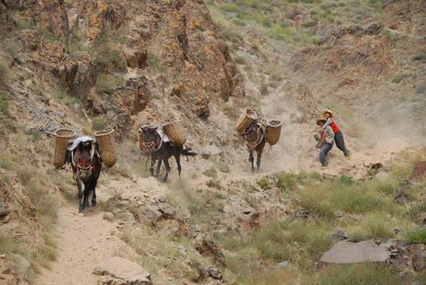 1950年劉冠群去重慶看望賀龍,賀龍急切詢問:你老子有飯吃嗎? 1950年劉冠群去重慶看望賀龍,賀龍急切詢問:你老子有飯吃嗎?