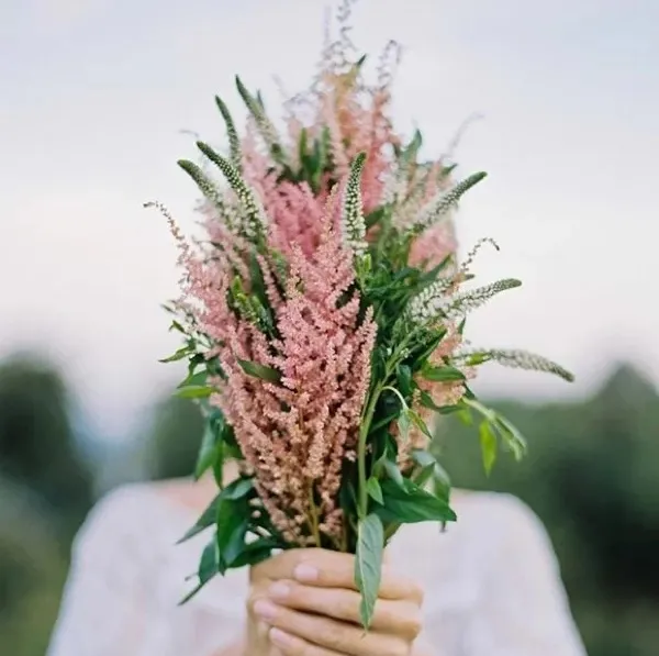 葉似蕨，花霧朦，落新婦散發浪漫唯美的氣息 | 壹木星球 No.4