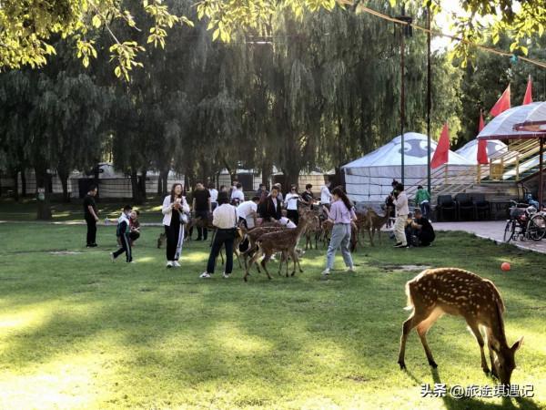 內蒙這麼大該怎麼玩？四大看點不容錯過，一次玩遍北境所有精髓