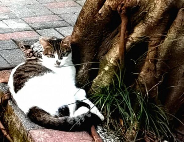 面對衰老和死亡,你規劃好自己的餘生了嗎? 面對衰老和死亡,你規劃好自己的餘生了嗎?