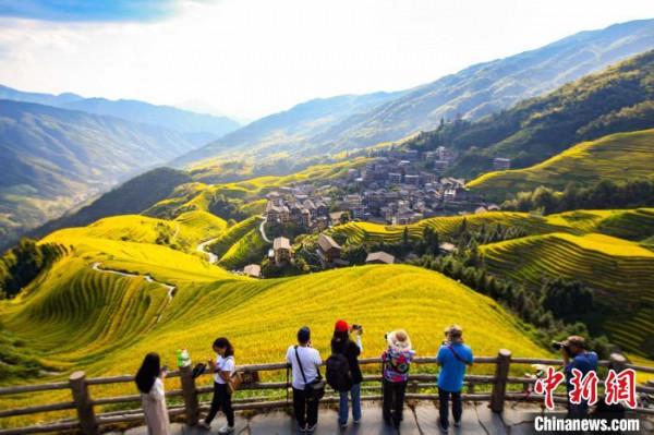 廣西龍勝：金秋龍脊引客來
