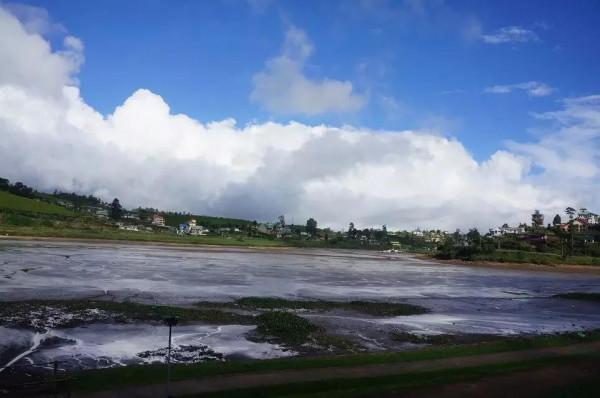 斯里蘭卡--回味無窮的青橄欖