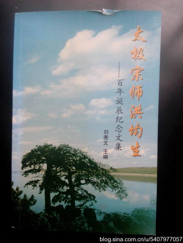 我的學拳日記&mdash;&mdash;2012年7月6日，我的頭被師兄弄破了