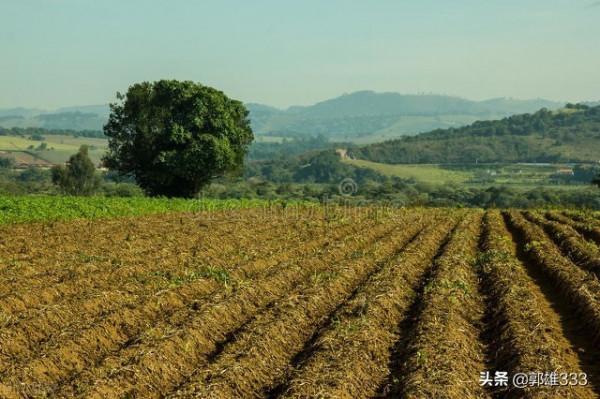 生產隊時期,農民幾乎天天出工,為什麼糧食產量不高?(續) 生產隊時期,農民幾乎天天出工,為什麼糧食產量不高?(續)