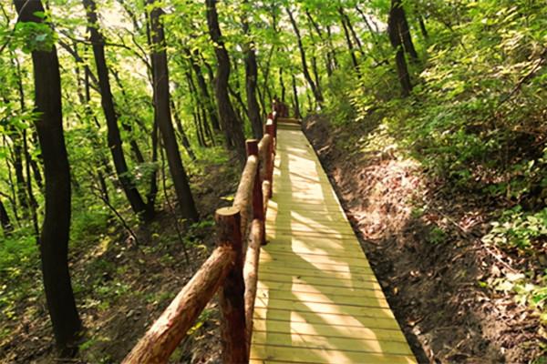 房山區賞紅葉指南→