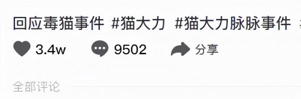 有人爆貓大力罐頭吃死貓，如何看待貓食品吃死貓事件？