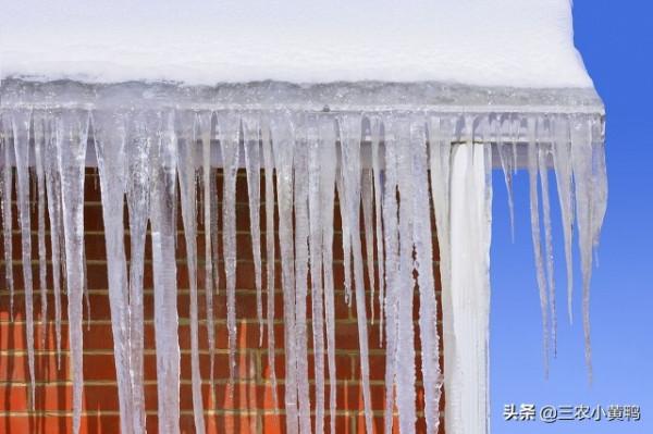 今日十月十九，俗語“冷不冷，就看十月十九”，今年冬天冷嗎？