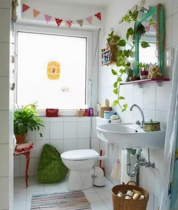 嫌廁所“臭味濃”不衛生，不如養一些“吸臭植物”，能輕鬆解決