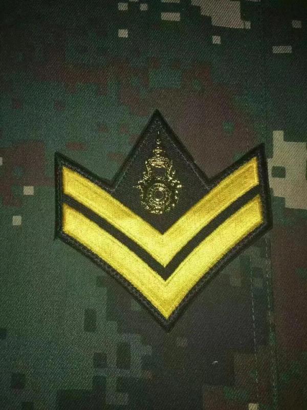 各國軍警銜圖集（三）