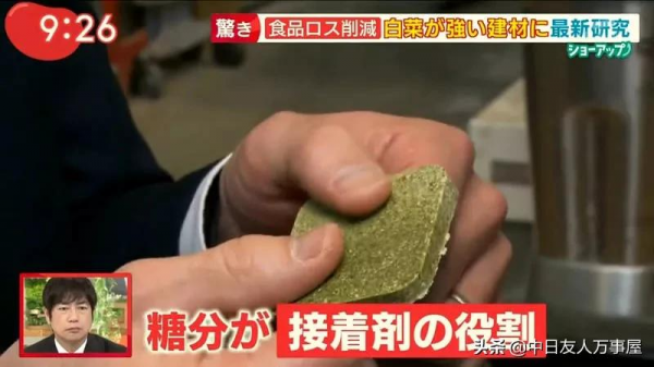 用白菜蓋房子，當作建材是混凝土的４倍，不但環保還可以拿來吃？