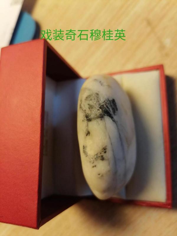 奇石戲裝穆桂英／袁大頭