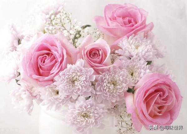 白醋,鮮為人知的15種妙用,用處太大了,解決了我的諸多煩惱 白醋,鮮為人知的15種妙用,用處太大了,解決了我的諸多煩惱