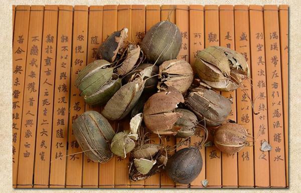 醫生提醒：5種中藥材副作用很大，已被禁用，別亂吃