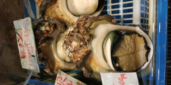 日本沖繩島自駕遊(一)，那霸市內閒逛，僥倖看到了焚燬前的首裡城