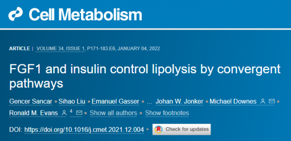 Cell Metab:打破傳統認知!除了胰島素,還有第二種降血糖激素 Cell Metab:打破傳統認知!除了胰島素,還有第二種降血糖激素