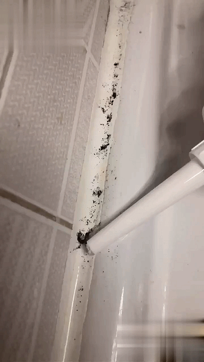 入住新年2年多，做到清潔好物精簡，只留下多次回購的好物