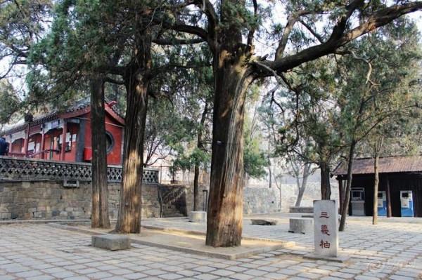 《泰山漫步》之三——漫步摩崖翰墨間 (1)