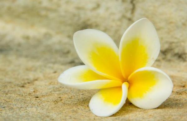 人品極差的人，在微信上，有4個明顯的特徵