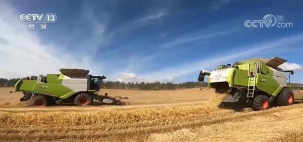 我國糧食產量再創新高 連續7年保持在1.3萬億斤以上