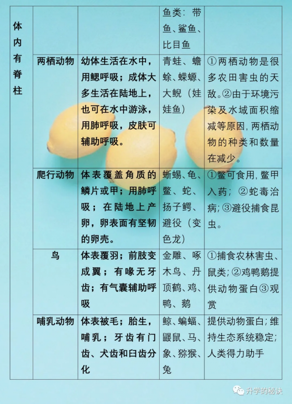 八年級生物上:全冊知識點總結,考點速記,建議為孩子收藏了 八年級生物上:全冊知識點總結,考點速記,建議為孩子收藏了