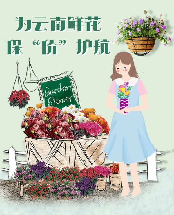 為鮮花保“價”護航，中國太平助力雲南打造特色產業