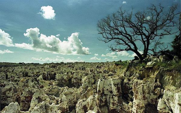 靠“鳥糞”暴富的國家,全民跑車成標配,結果礦挖完了全國傻眼了 靠“鳥糞”暴富的國家,全民跑車成標配,結果礦挖完了全國傻眼了