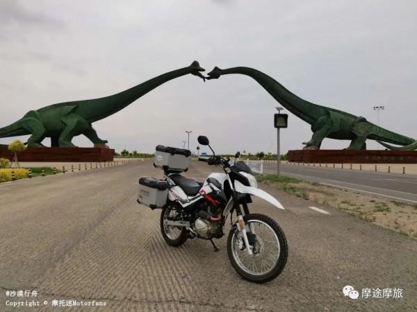我的花甲之旅——沿途溼地沼澤,鳥語花香,森林草原,牛羊肥壯 我的花甲之旅——沿途溼地沼澤,鳥語花香,森林草原,牛羊肥壯
