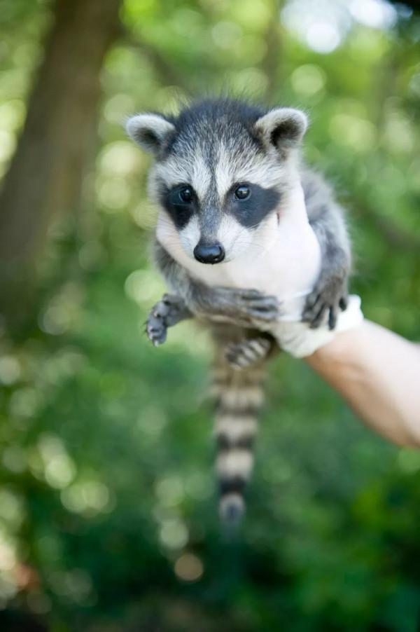 原來我們被幹脆面騙了好多年 原來我們被幹脆面騙了好多年