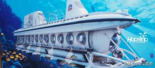不會游泳也可以去找小丑魚跳海草舞！盤點全球可以坐潛水艇的景點