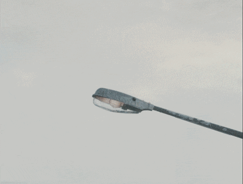 喵醬占星十一月星座運勢：白羊金牛雙子篇