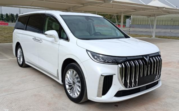 長續航、高效能全都有！這屆海口新能源車展到位了