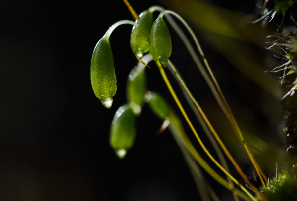 志向遠大,能屈能伸的星座,懂得知進退,是不可多得的人才 志向遠大,能屈能伸的星座,懂得知進退,是不可多得的人才