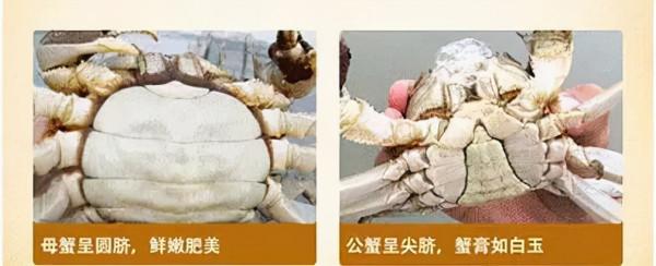 買海鮮究竟有哪些技巧，如何挑選新鮮的海鮮？如何區分優劣？