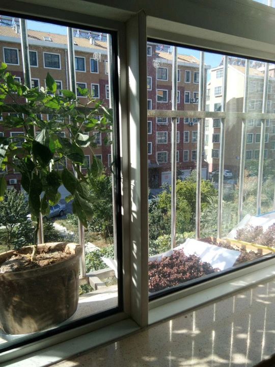 自己動手,豐衣足食,在家裡和車庫前面種的辣椒能自給自足啦 自己動手,豐衣足食,在家裡和車庫前面種的辣椒能自給自足啦