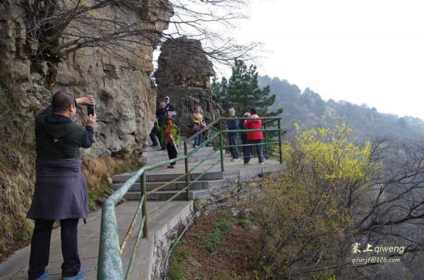 寄情山水 白馬寺 牡丹園 龍門石窟 皇城府 王莽嶺 畢業51年同學會（1）