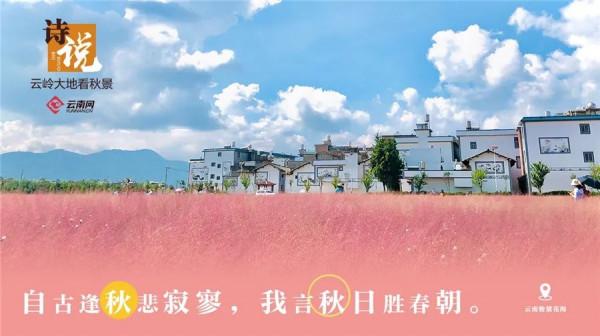 絕美！當雲嶺秋日美景遇上古詩詞