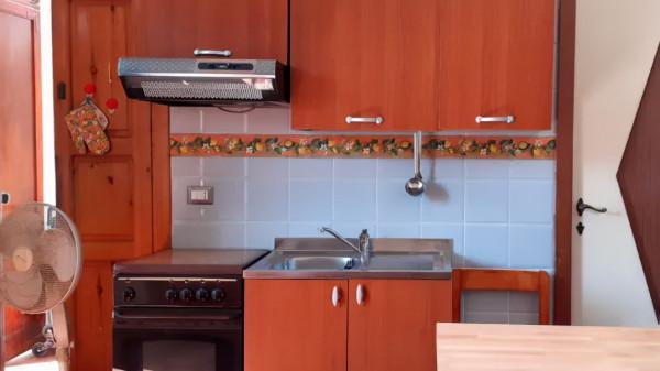 82歲老人孤島獨居30年,被迫回到群體生活,重逢舊情人 82歲老人孤島獨居30年,被迫回到群體生活,重逢舊情人