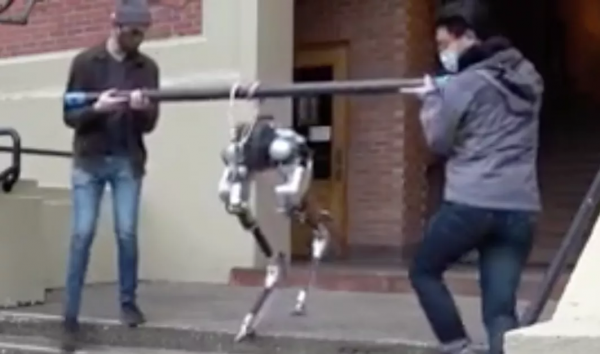 以後，可能再也沒人減肥了