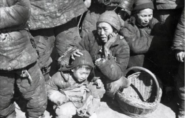 陳振龍：冒死偷回一根藤，經過7代人的努力，讓中國多了3億人口