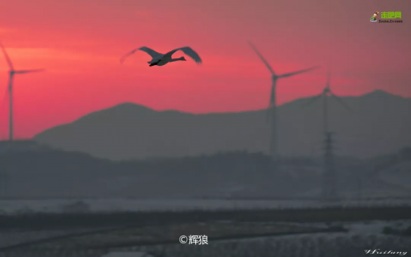 適合小住幾天的醉美慢城,走進風景裡,過最愜意的慢生活 適合小住幾天的醉美慢城,走進風景裡,過最愜意的慢生活