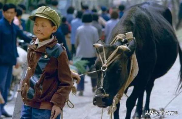 甘肅省的區劃調整，省會城市3次遷移，為何確立蘭州市？