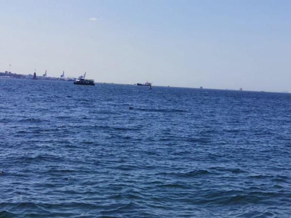 環遊土耳其&lpar;44&rpar;：食物中毒記