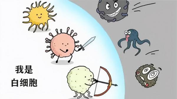 終於有了定論《盜夢空間》的陀螺不是主角的圖騰,最後它倒了沒? 終於有了定論《盜夢空間》的陀螺不是主角的圖騰,最後它倒了沒?