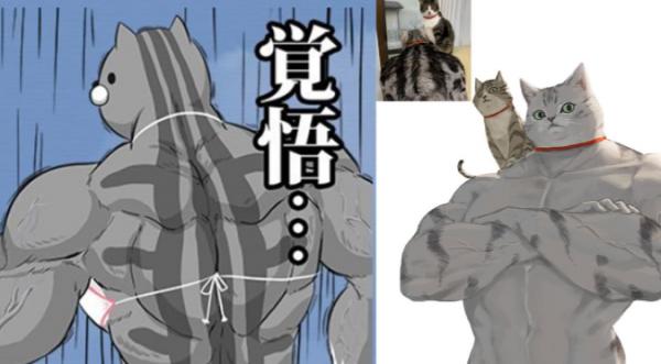 美國短毛貓丨銀虎斑